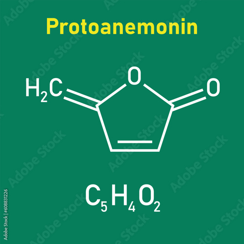 Chemical structure of Protoanemonin (C5H4O2). Chemical resources for teachers and students. Vector illustration isolated on white background. photo