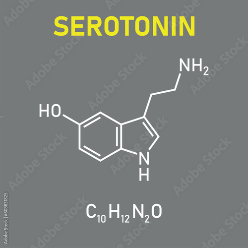 Chemical structure of Serotonin (C10H12N2O). Chemical resources for teachers and students. Vector illustration isolated on white background.