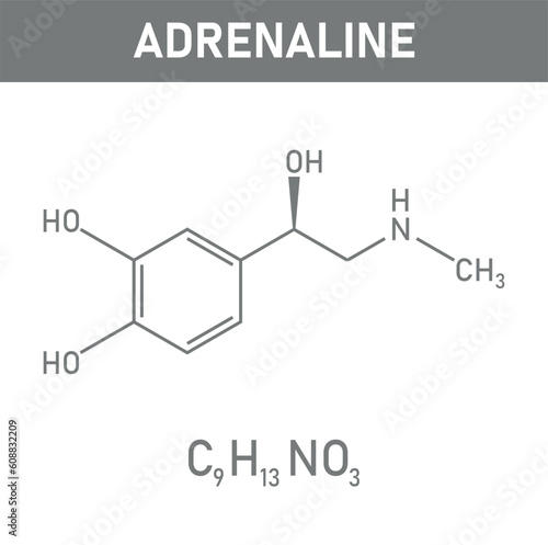 Chemical structure of Adrenaline or epinephrine (C9H13NO3). Chemical resources for teachers and students. Vector illustration isolated on white background.