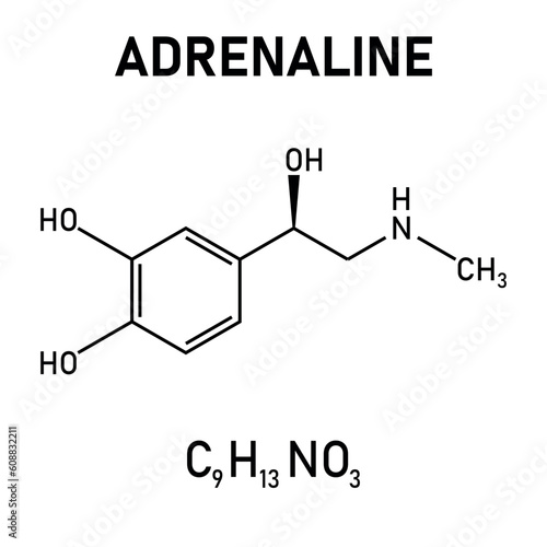 Chemical structure of Adrenaline or epinephrine (C9H13NO3). Chemical resources for teachers and students. Vector illustration isolated on white background.
