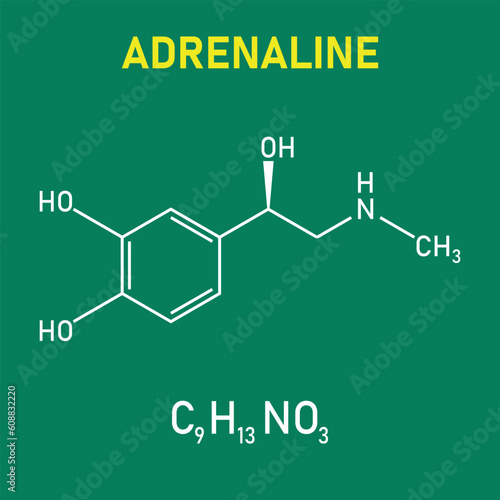 Chemical structure of Adrenaline or epinephrine (C9H13NO3). Chemical resources for teachers and students. Vector illustration isolated on white background.