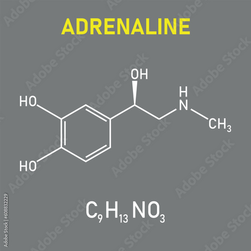 Chemical structure of Adrenaline or epinephrine (C9H13NO3). Chemical resources for teachers and students. Vector illustration isolated on white background.