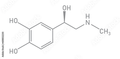 Chemical structure of Adrenaline or epinephrine (C9H13NO3). Chemical resources for teachers and students. Vector illustration isolated on white background.