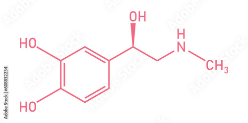 Chemical structure of Adrenaline or epinephrine (C9H13NO3). Chemical resources for teachers and students. Vector illustration isolated on white background.