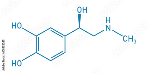 Chemical structure of Adrenaline or epinephrine (C9H13NO3). Chemical resources for teachers and students. Vector illustration isolated on white background.