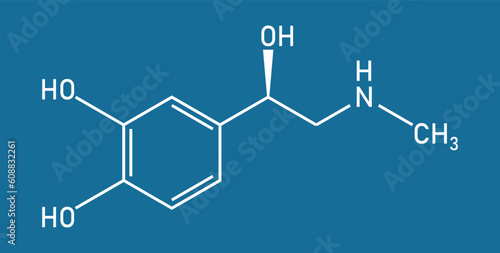 Chemical structure of Adrenaline or epinephrine (C9H13NO3). Chemical resources for teachers and students. Vector illustration isolated on white background.