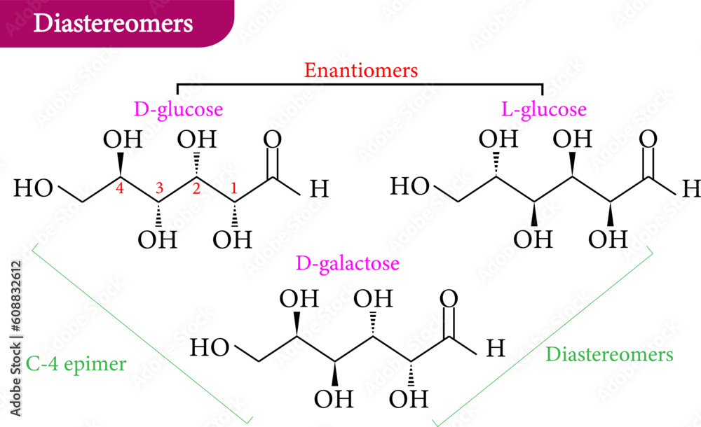Vector illustration of diastereomer,enantiomers,D-glucose ,L-glucose ,D-galactose
Vector illustration of diastereomer,enantiomers,D-glucose ,L-glucose ,D-galactose