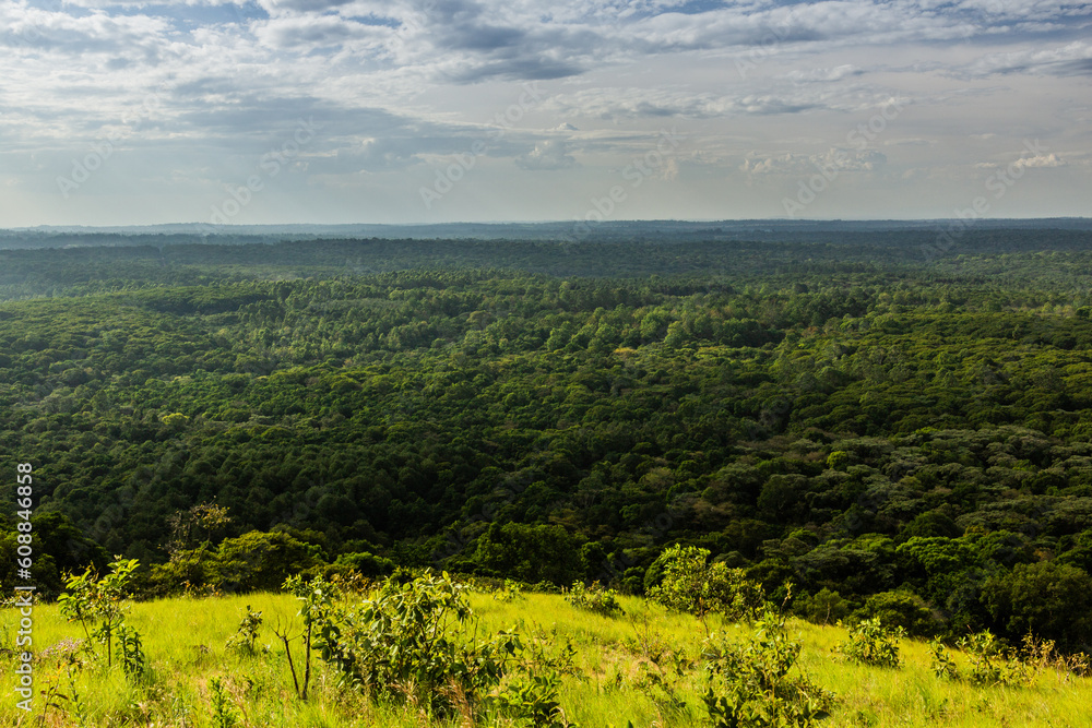 Fototapeta premium Aerial view of Kakamega Forest Reserve, Kenya
