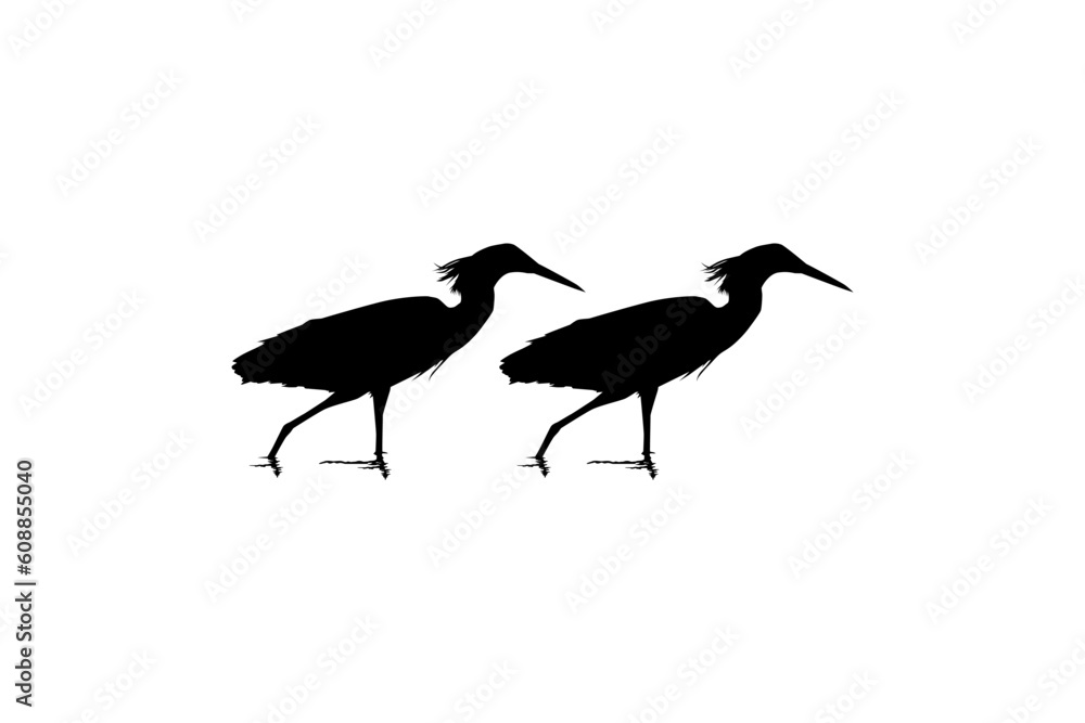 Pair of The Black Heron Bird (Egretta Ardesiaca), also known as the Black Egret Silhouette for Art Illustration, Logo, Pictogram, Website, or Graphic Design Element. Vector Illustration Pair of The Black Heron Bird (Egretta Ardesiaca), also known as the Black Egret Silhouette for Art Illustration, Logo, Pictogram, Website, or Graphic Design Element. Vector Illustration