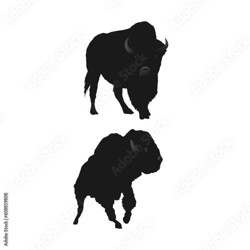 sihlouette two bison are standing in front of a white background. photo