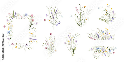 Bild auf Leinwand Wild field herbs flowers