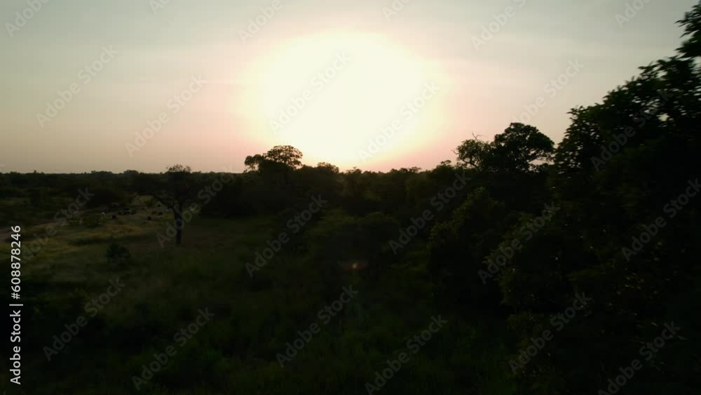 Amazing sunrise over the trees in a jungle in the middle of Africa after the rain season. Flying over the trees at low altitude with the sun there behind Amazing sunrise over the trees in a jungle in the middle of Africa after the rain season. Flying over the trees at low altitude with the sun there behind