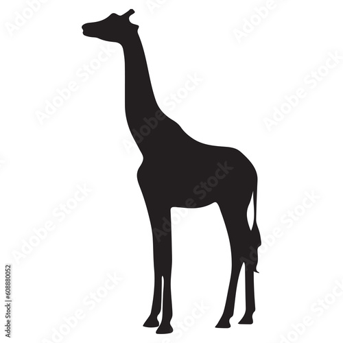 vector drawing silhouette of a giraffe