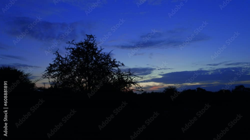 Flying over the trees at blue hour, after sunset, in a jungle in Africa after the rain season. The sun has just set, leaving a blue light over the forest Flying over the trees at blue hour, after sunset, in a jungle in Africa after the rain season. The sun has just set, leaving a blue light over the forest