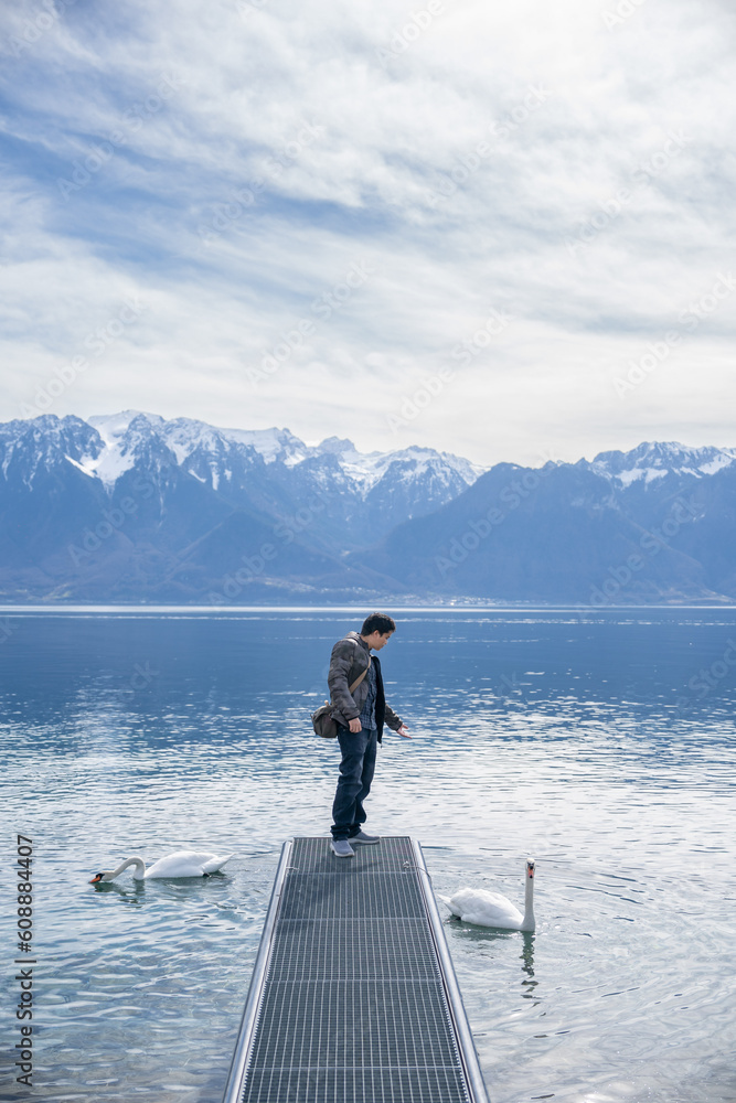 Male with Swans at  Lake Geneva Vevey, Switzerland.