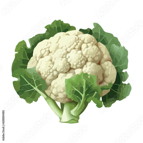Healthy eating Fresh organic cauliflower photo