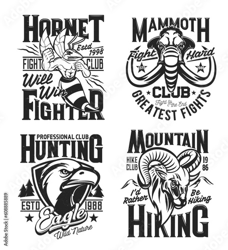 Sport club mascots and t-shirt prints. Angry hornet  mammoth  eagle and mountain sheep ram and retro typography on fighting  hunting and hiking club vector emblem  symbol or clothing custom print