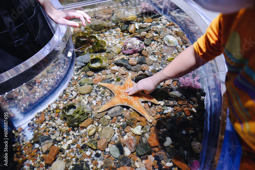 Elementary student boy touching star fish in a science center. Child science activity background.