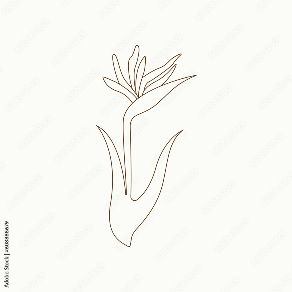 Handdrawn simple flower outline illustration vector Handdrawn simple flower outline illustration vector