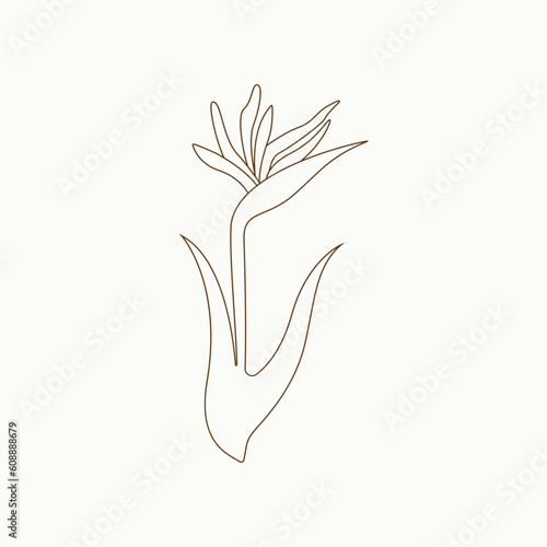 Handdrawn simple flower outline illustration vector