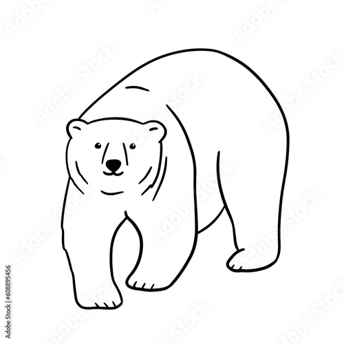 White polar bear line sketch. Outline vector illustration of forest animal.