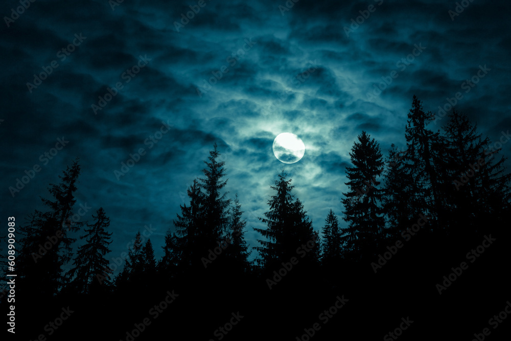 Full moon through the clouds over spruce trees in magic mystery night forest. Halloween backdrop.