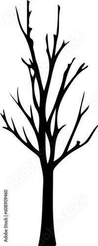 Bare Tree Silhouette Illustration