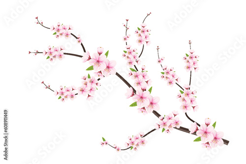Cherry blossom branch with  realistic sakura with pink flowers  cherry blossom  with cherry bud and pink sakura flower