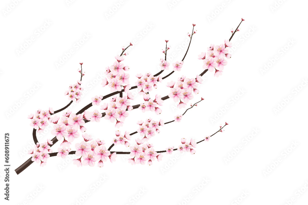 Cherry blossom branch with realistic sakura with pink flowers, cherry ...