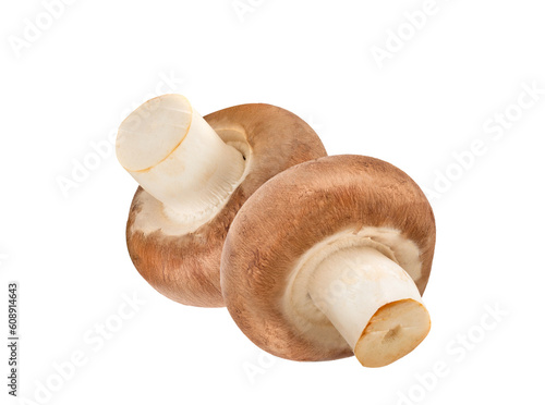 Mushrooms with png background
