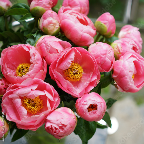 A bouquet of pink peonies in women's hands. Flower delivery. A beautiful bouquet of flowers as a gift for a holiday.