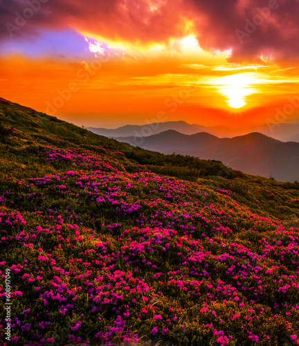 unbelievable summer nature scenery, scenic sunset view in the mountains