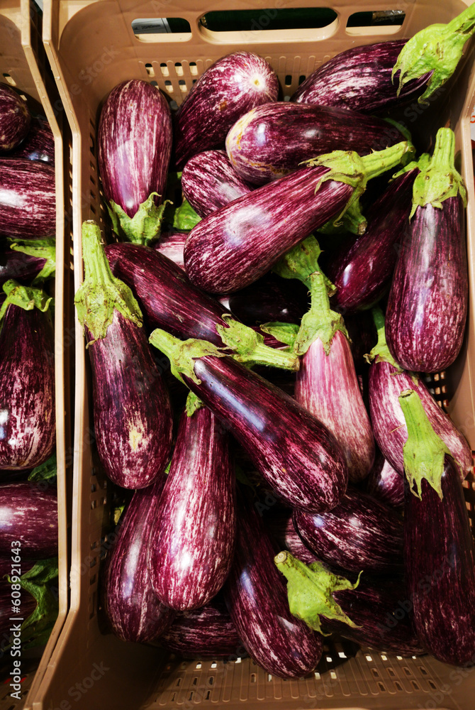 Eggplant in the basket.