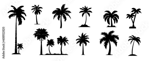 Palm tree silhouette isolated on white background. Summer vacation beach set elements design vector illustration