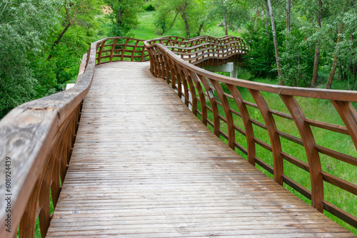 wooden bridge curve between trees