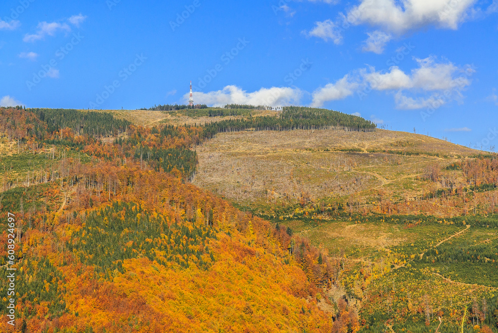 Mount Skrzyczne (1257 m with TV tower) in autumn scenery seen from the forest road to Kościelec (1022 m) in Silesian Beskid (Poland).