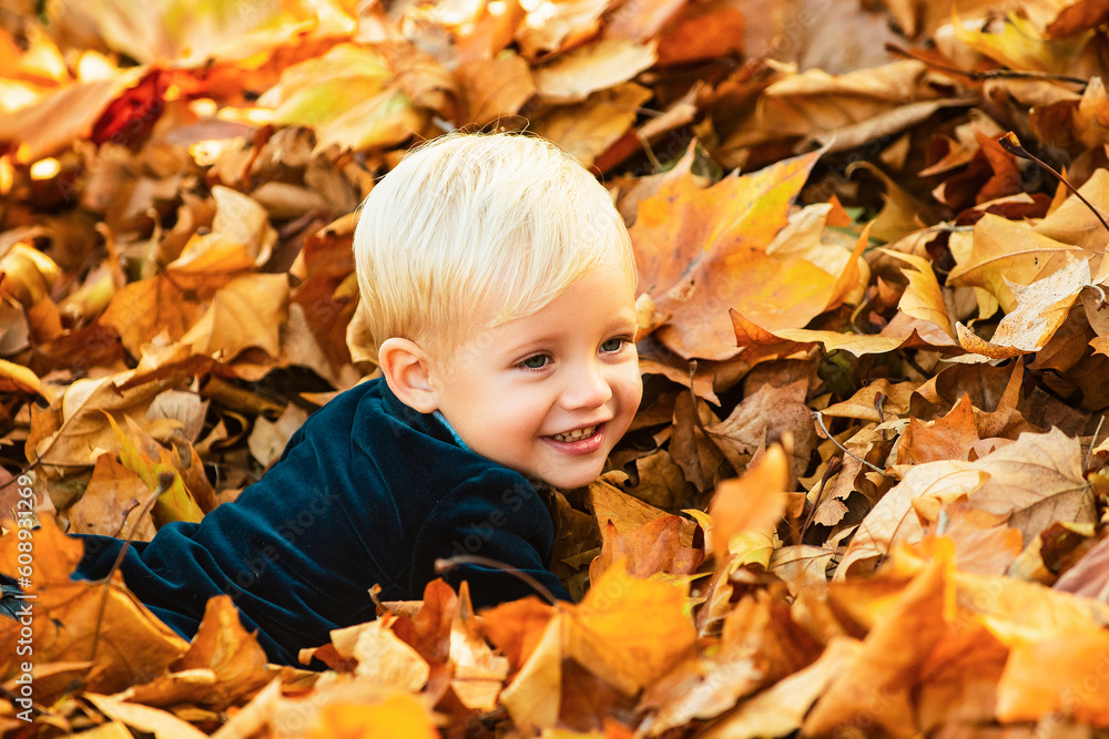 Kids in autumn park on yellow leaf background. Child lying on the golden leaf. Autumn dream. Kid dreams on autumn nature. Childhood dream. Daydreamer child. Dreams and imagination. Dreamy kids face. Kids in autumn park on yellow leaf background. Child lying on the golden leaf. Autumn dream. Kid dreams on autumn nature. Childhood dream. Daydreamer child. Dreams and imagination. Dreamy kids face.