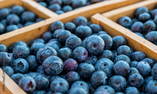 Frische reife Blaubeeren in Nahaufnahme. Angeboten auf einem lokalen Wochenmarkt. Gesunde ernährung, Beeren