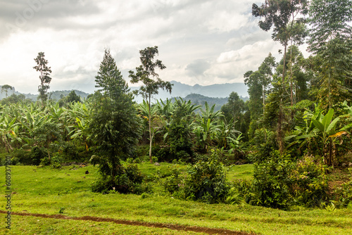 Landscape near Budadiri village, Uganda photo