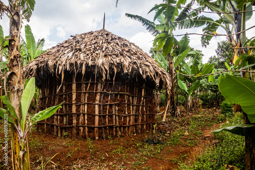 Rural house in Sipi village, Uganda photo