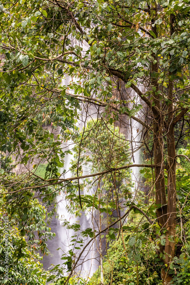 Fototapeta premium View of Sipi falls, Uganda