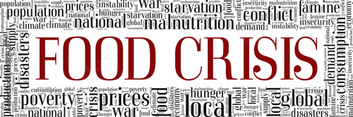 Food Crisis word cloud conceptual design isolated on white background.
