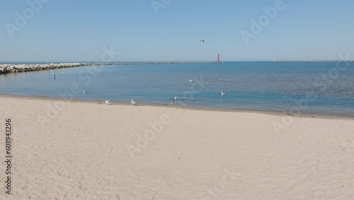 Sea Gulls bursting into flight near Lake Michigan. photo