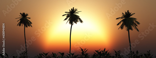 Fototapeta Naklejka Na Ścianę i Meble -  Tropische Landschaft bei Sonnenuntergang