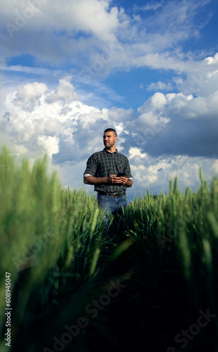 Young farmer in a wheat field, using a tablet to optimize agricultural practices and monitor crop data.