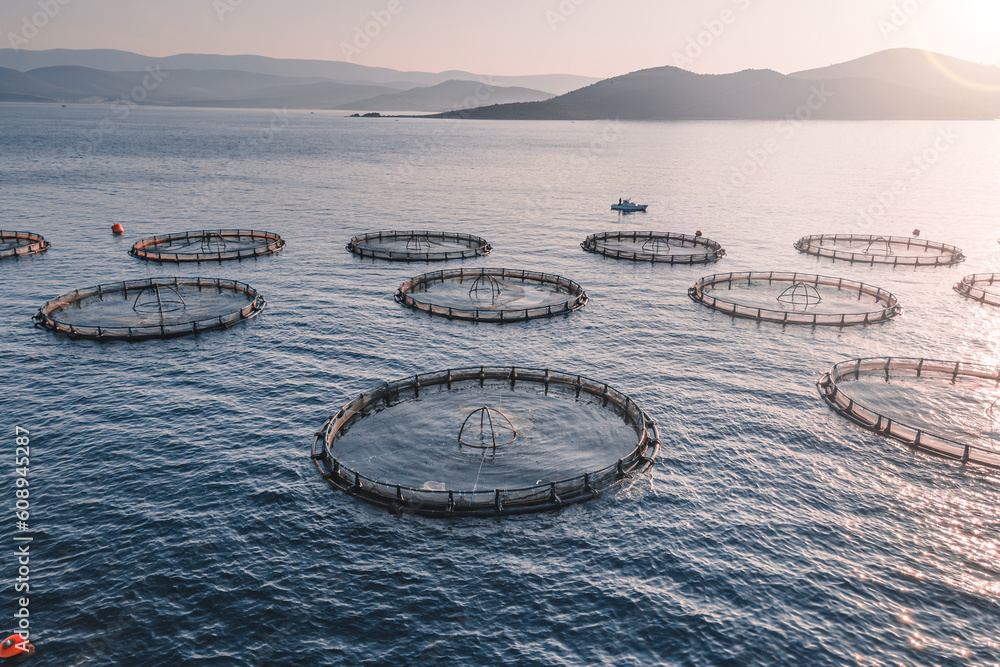 Fish cage of fish farming in open sea, aerial close-up shot Stock Photo