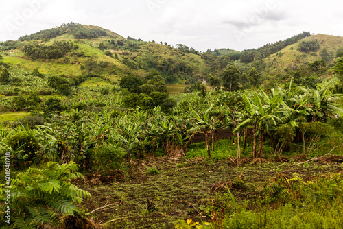 Landscape of the crater lakes region near Fort Portal, Uganda