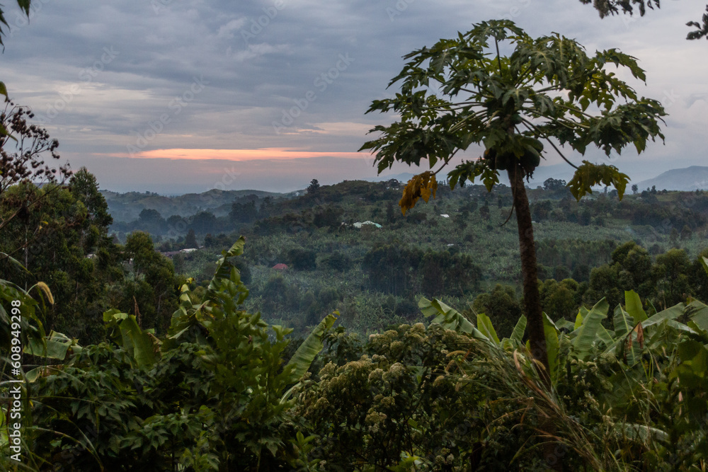 Evening view of the lush rural landscape of the crater lakes region near Fort Portal, Uganda