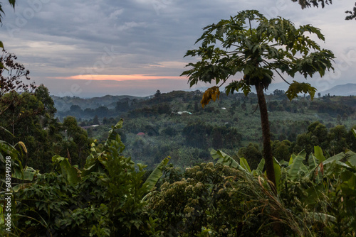 Evening view of the lush rural landscape of the crater lakes region near Fort Portal, Uganda