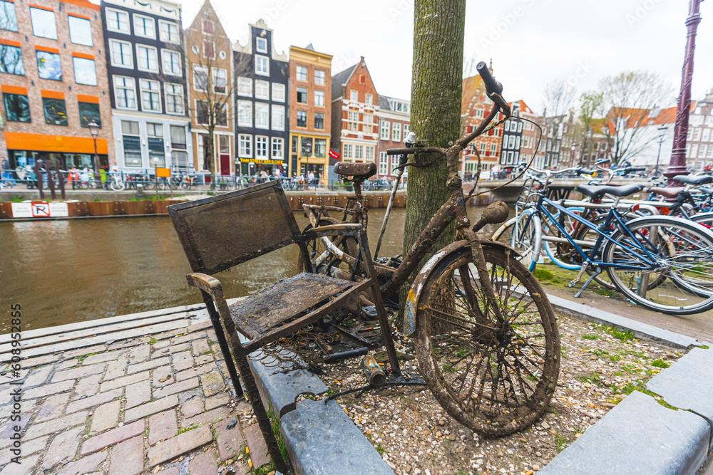 Extremely rusty bicycle and metal seat next to the tree and canal in Amsterdam. Transportation concept. High quality photo